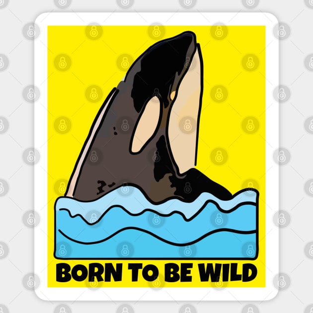 Orca, Born to Be Wild Sticker by ardp13